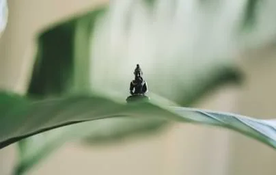 即刻开启你的观赛之旅，精彩不停歇！ - 雨燕直播
